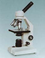 ������΢�� 