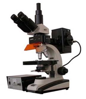 ��Ŀ����ӫ����΢�� 