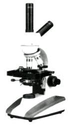 ������΢��