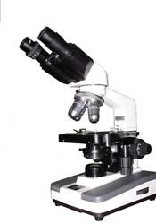 ������΢��