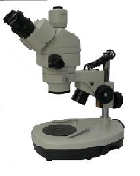 ��������������΢�� 