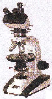 ƫ����΢�� 