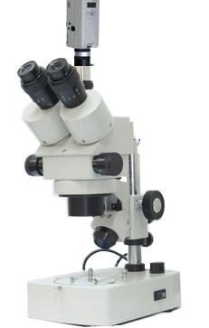 ������������΢��