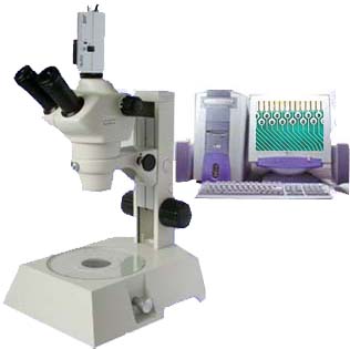 �о���������΢�� 