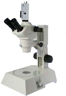 ������������΢��