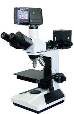 ��������Ŀ��Ƶ��΢��