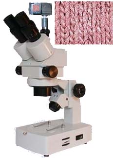 ������������΢�� 