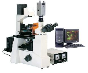 ����ӫ����΢��