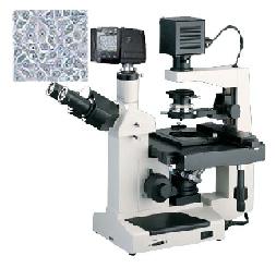 �����͵�����΢��