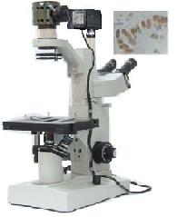 �����͵�����΢��