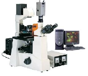 �����͵�����΢��