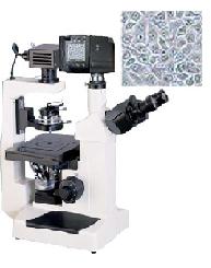 �����͵�����΢�� 