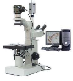 �����͵�����΢�� 