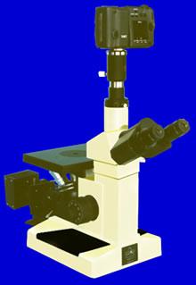 ������΢�� 