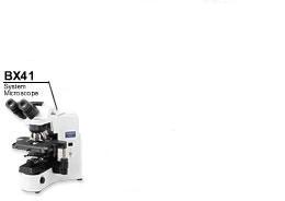 �ٴ�����΢�� 