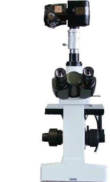 ��������Ŀ����ʽ������΢��