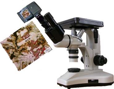 ������˫Ŀ����ʽ������΢��