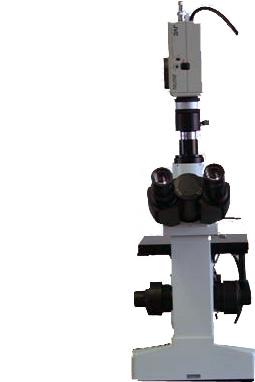 ��������Ŀ����ʽ������΢�� 