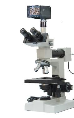 ��������Ŀ����ʽ������΢��