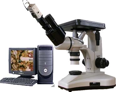 ������˫Ŀ����ʽ������΢�� 