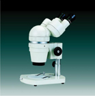 ��ɫ����������΢�� 