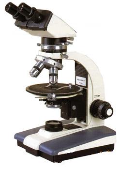 ƫ����΢�� 