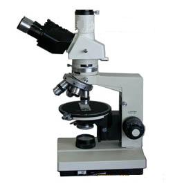 ƫ����΢�� 