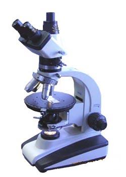 ƫ����΢��