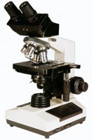 ������΢�� 