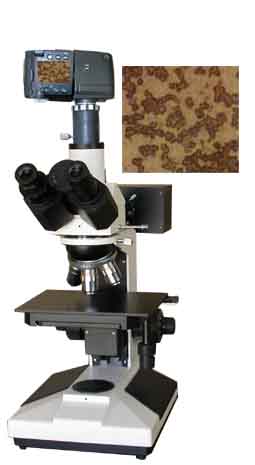 金相显微镜(数码型) 