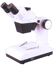 ������΢�� 