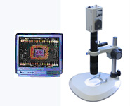 ͬ��������Ƶ��΢��