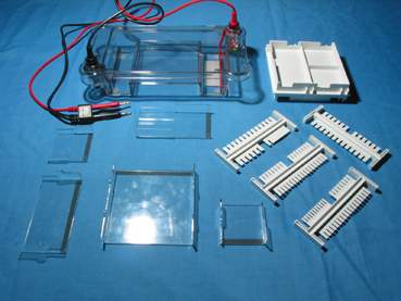 ����;ˮƽ��Ӿ�ǣ��ۣ� 