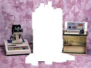 ϸ����Ӿ��  