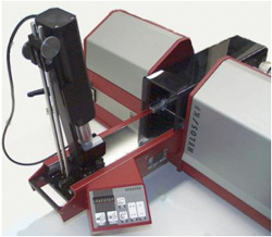 ���������Լ���������