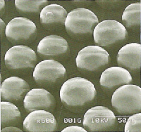 ����轺����