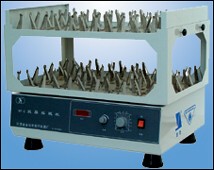 ����˫��������� 