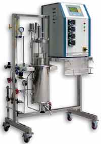 ����ʽ���͹� :