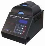 ԭλ����������