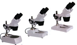 ������΢�� 