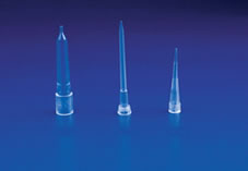 ȫ��񡢳��м�-���죬�����13661576245̸