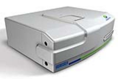 ����ֹ������