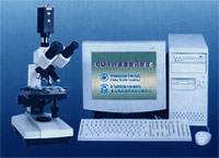 ��֯��ά����� M204892