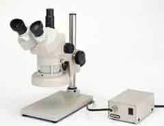 ��΢���Ŵ󾵽�֮��:����������΢��