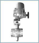 �綯V�͵�����