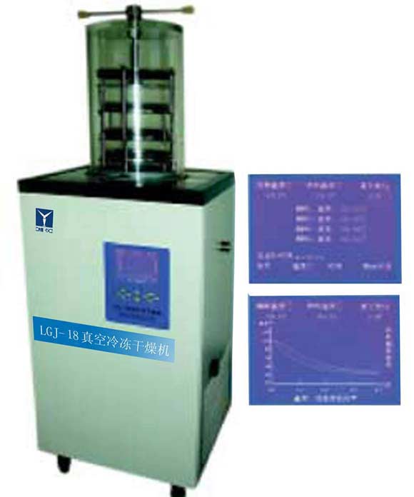 ����䶳�����