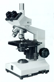 ӫ����΢�� 7200Ԫ������13917814677��̸