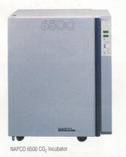 ˮ��ʽ������̼������