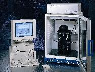 ��̬����������