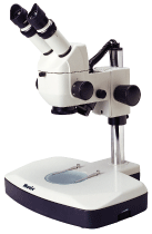 ������΢��